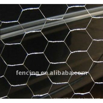 Galvanized Agricultural Wire Mesh